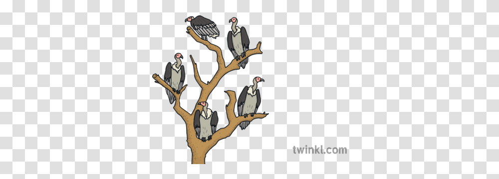 Vultures In A Tree Africa Birds Ks1 Illustration Twinkl Vultures In A Tree, Person, Vegetation, Plant, Slingshot Transparent Png