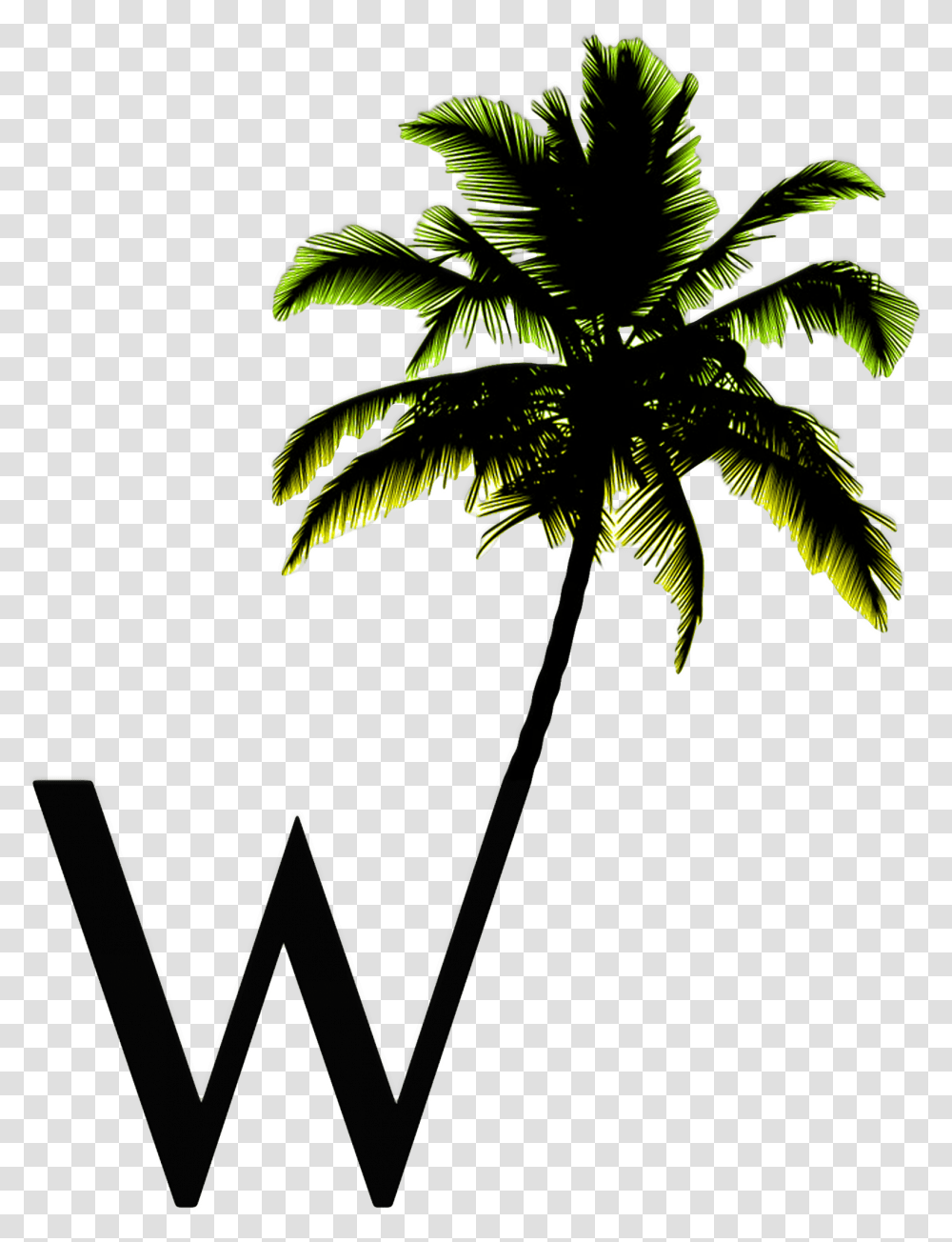 W Palm Only Logo No Background Palm Tree Silhouette, Plant, Arecaceae, Leaf, Green Transparent Png