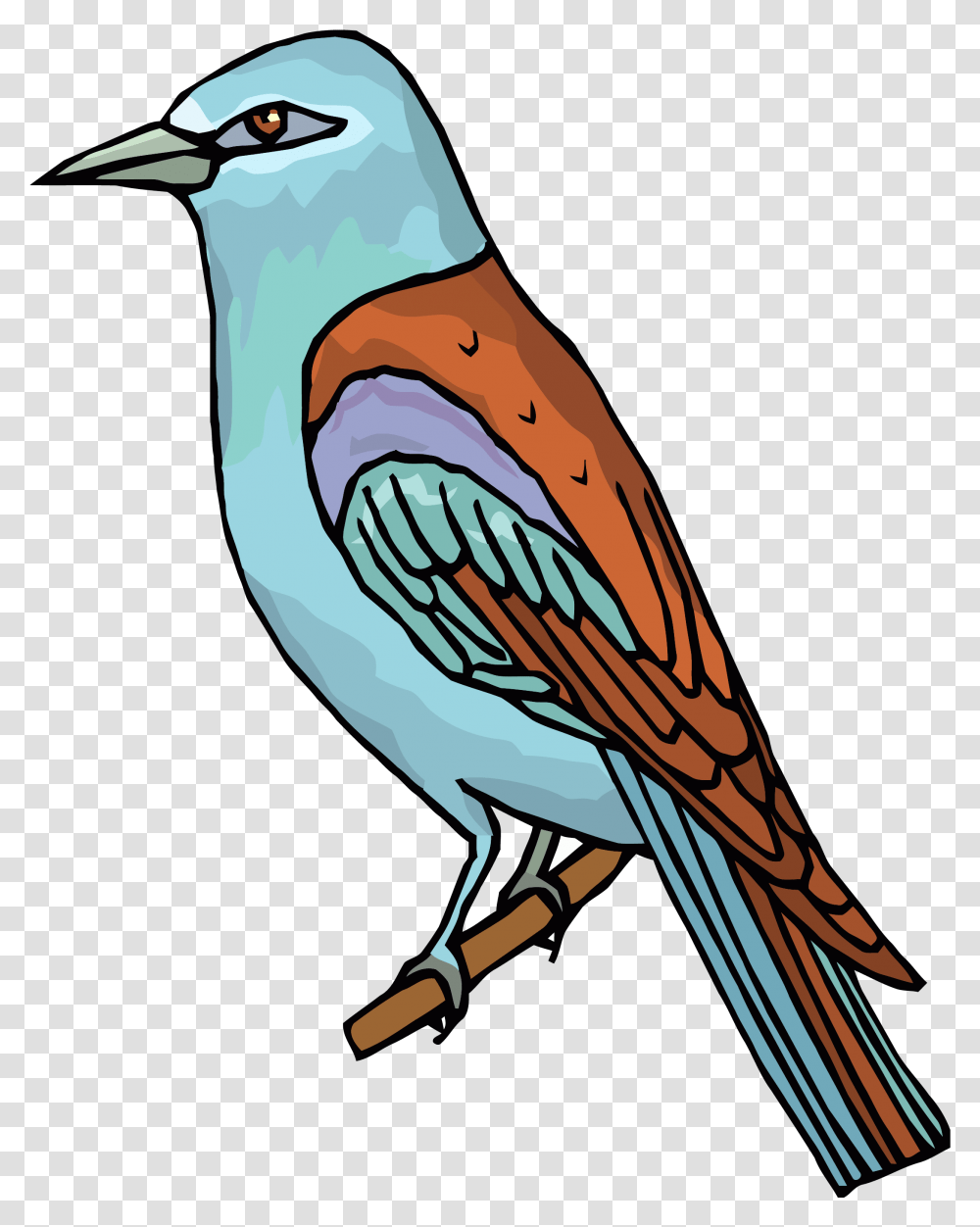 Waiting Bird Clipart - Clipartlycom Bird Clip Art, Jay, Animal, Beak, Blue Jay Transparent Png