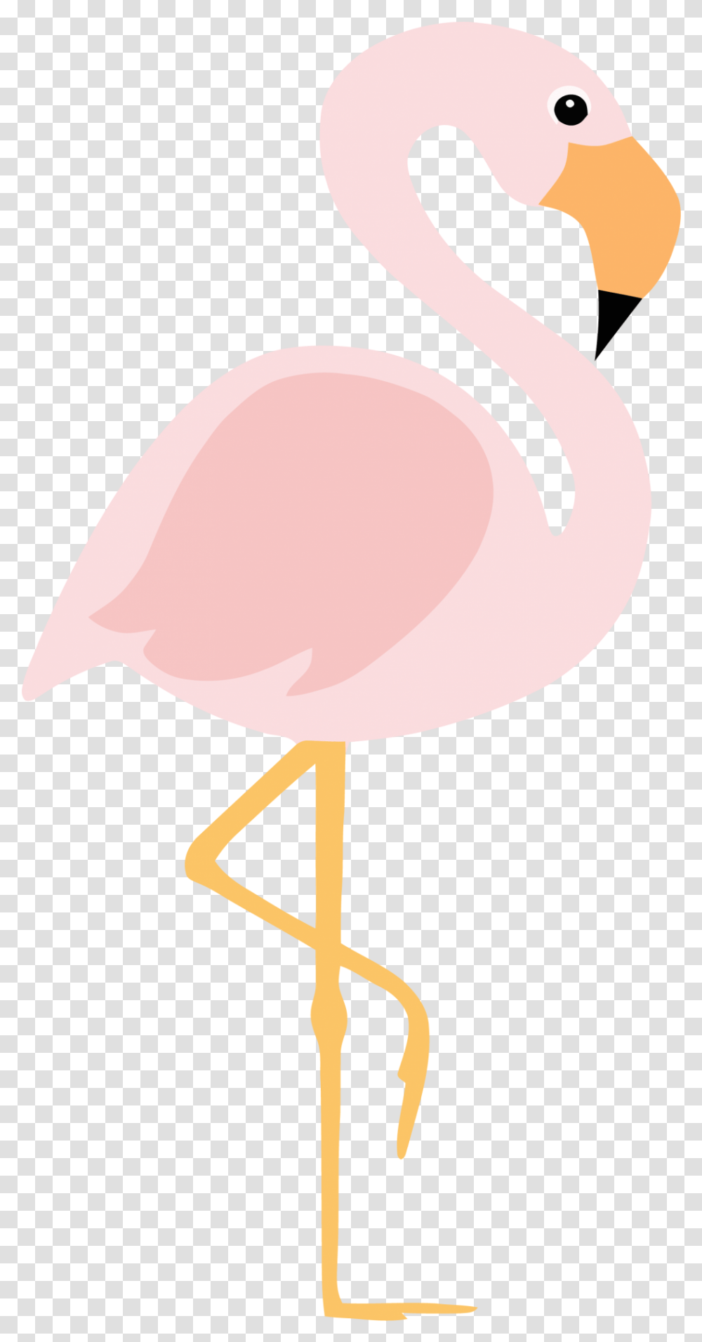 Waiting Flamingo Clipart Greater Flamingo, Bird, Animal Transparent Png