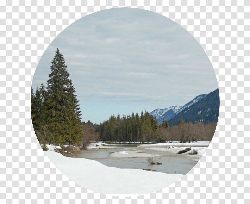Walchensee Thumbnail Snow, Tree, Plant, Fir, Abies Transparent Png