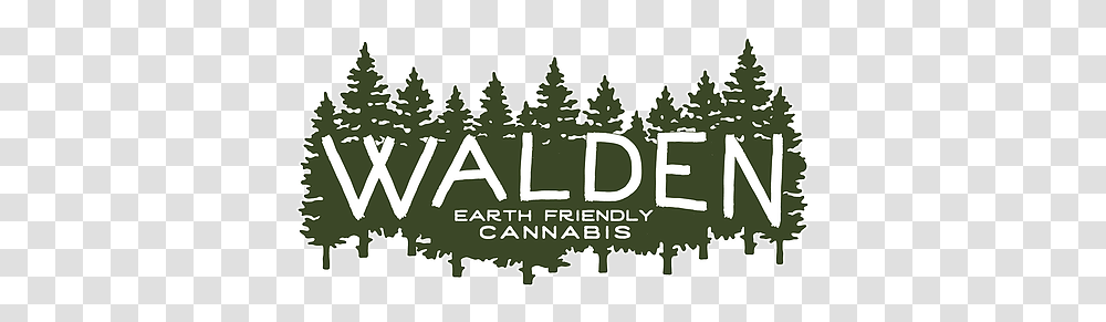 Walden Cannabis Aleister Black Wallpaper Pc, Outdoors, Text, Nature, Land Transparent Png