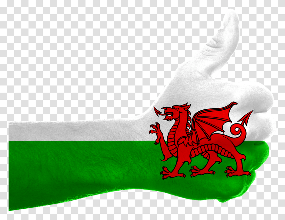 Wales England Dragon Kingdom Queen Thumb Flag Flag Of Wales, Arm, Person, Animal Transparent Png