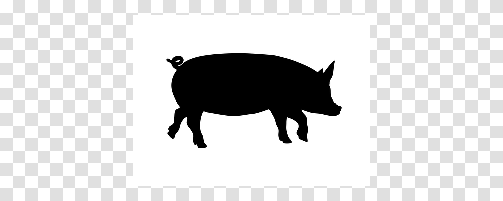 Walk Pig, Mammal, Animal, Silhouette Transparent Png