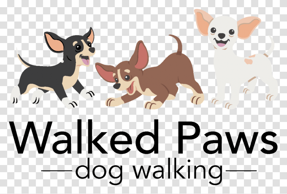 Walked Paws 22h, Puppy, Dog, Pet, Canine Transparent Png