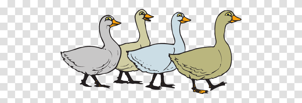 Walking Dog Clip Art, Goose, Bird, Animal, Duck Transparent Png