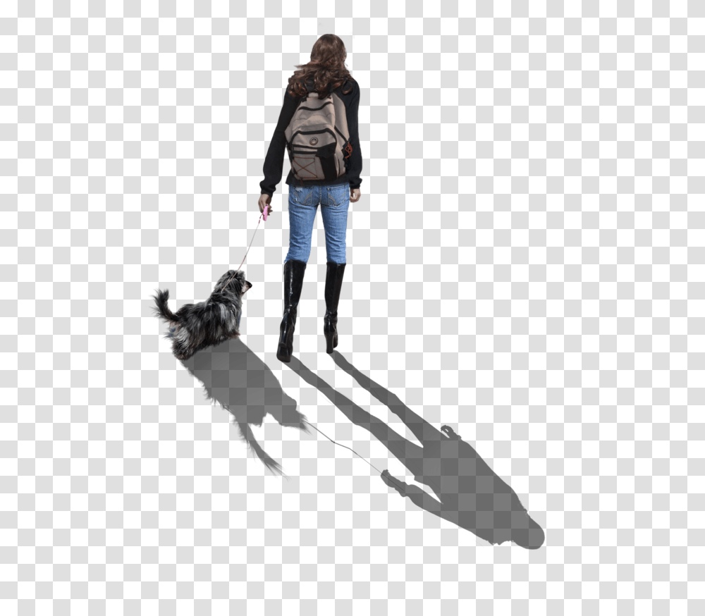 Walking Dog Companion Dog, Person, Strap, Jacket Transparent Png