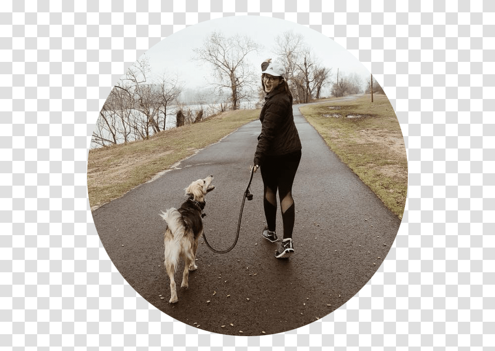 Walking Dog Walking, Person, Human, Pet, Canine Transparent Png