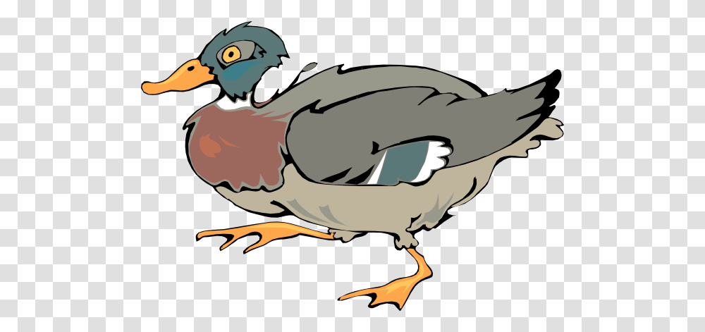 Walking Duck Clip Art, Bird, Animal, Fowl, Anseriformes Transparent Png