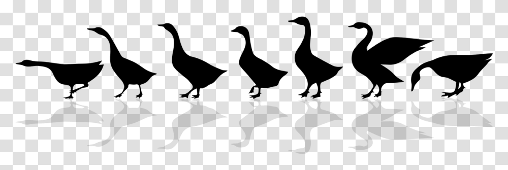 Walking Geese Silhouette, Gray, World Of Warcraft Transparent Png