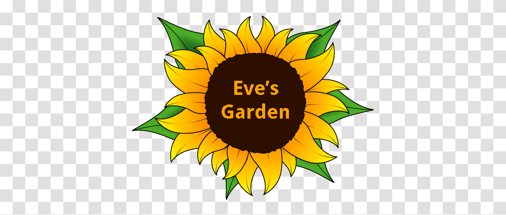 Walking History Tour Of Marathon Eve's Garden Bed And Sunflower, Plant, Blossom, Nature, Outdoors Transparent Png