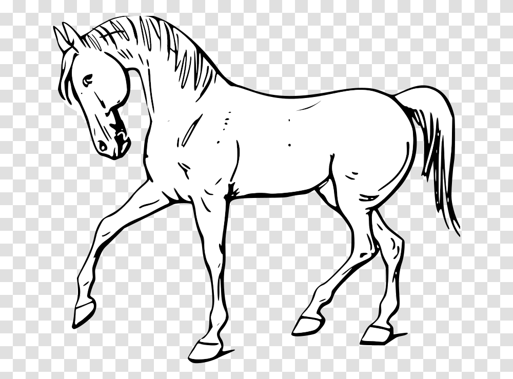 Walking Horse Outline Svg Clip Arts Horse In Black And White, Colt Horse, Mammal, Animal, Foal Transparent Png