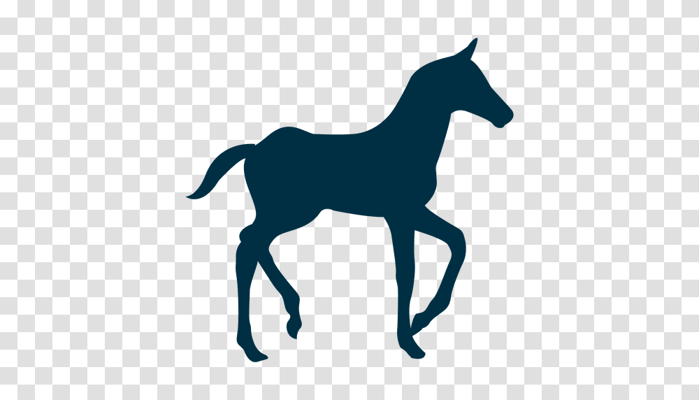 Walking Horse Silhouette, Foal, Mammal, Animal, Colt Horse Transparent Png