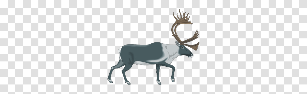 Walking Moose Clip Art For Web, Animal, Antelope, Wildlife, Mammal Transparent Png