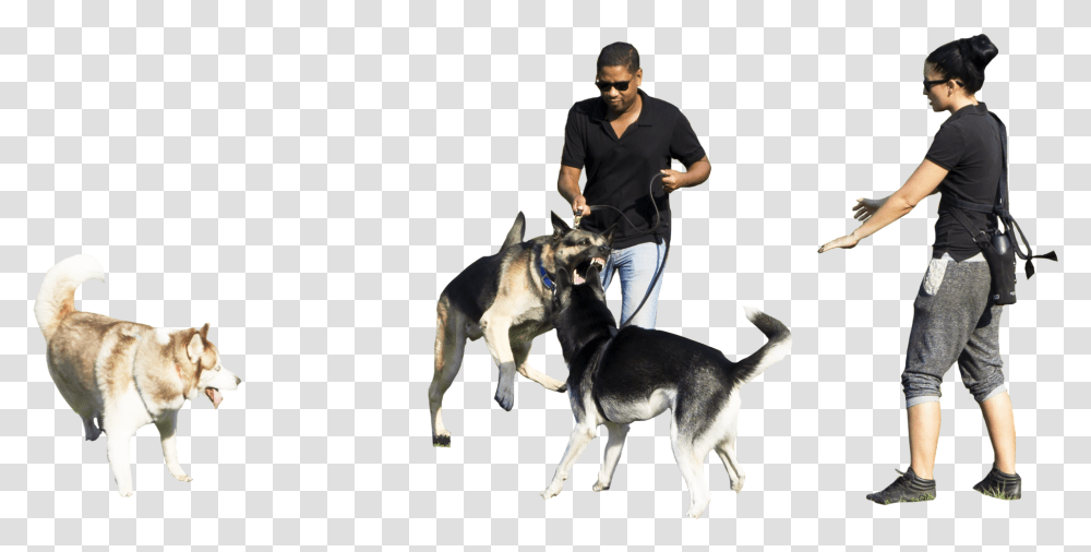 Walking Park Dog Dogs Hq Image Free People With Dog, Person, Husky, Pet, Canine Transparent Png