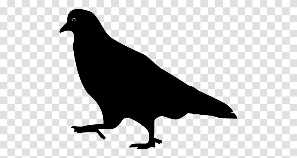 Walking Pigeon Silhouette Clip Art, Crow, Bird, Animal, Blackbird Transparent Png
