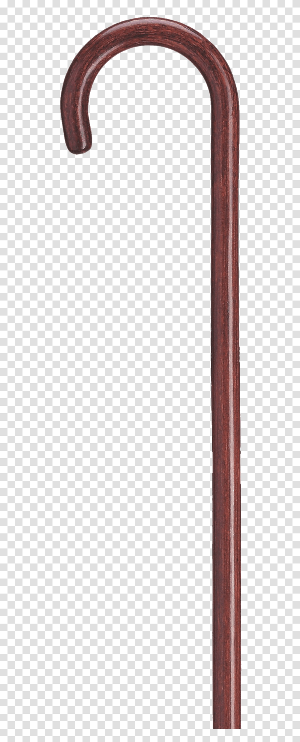 Walking Stick Wood, Plant, Face, Outdoors, Tree Transparent Png
