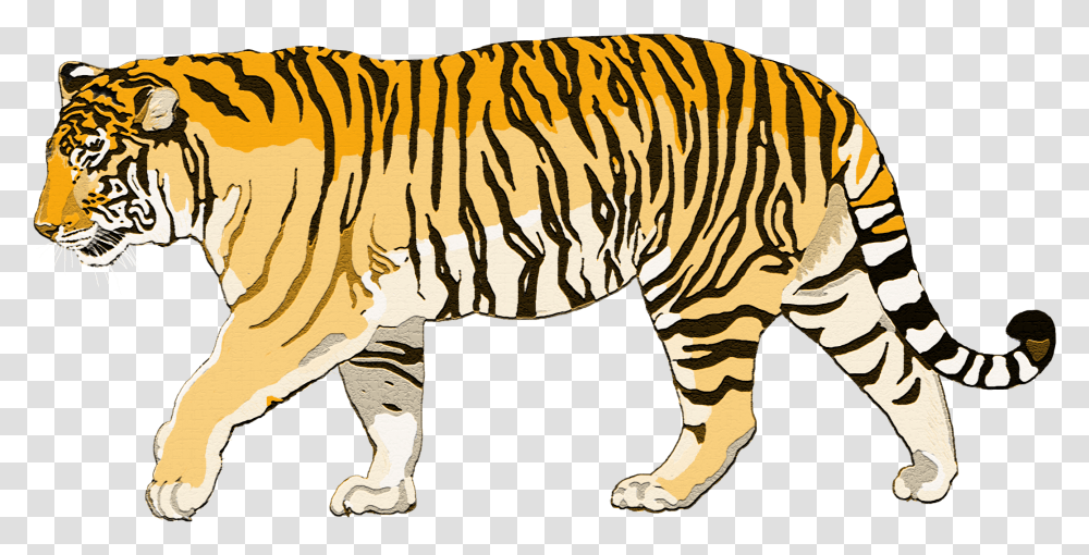 Walking Tiger Photo Tiger Walking, Wildlife, Animal, Mammal, Zebra Transparent Png