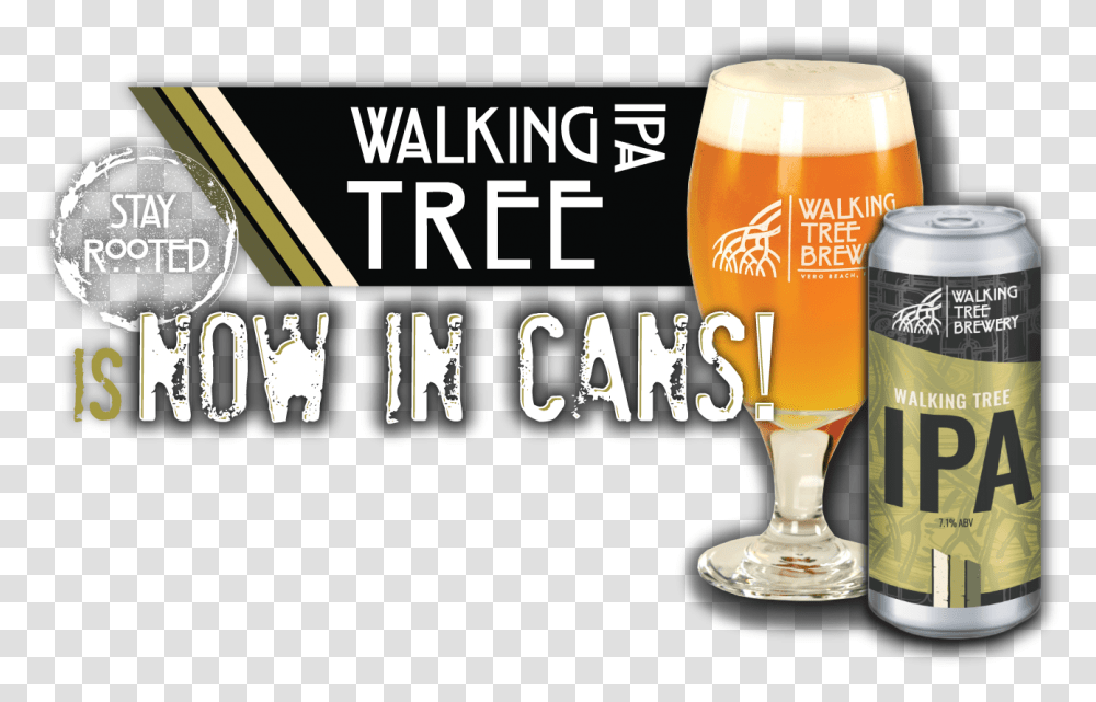 Walking Tree Brewery Beer Glassware, Alcohol, Beverage, Drink, Lager Transparent Png