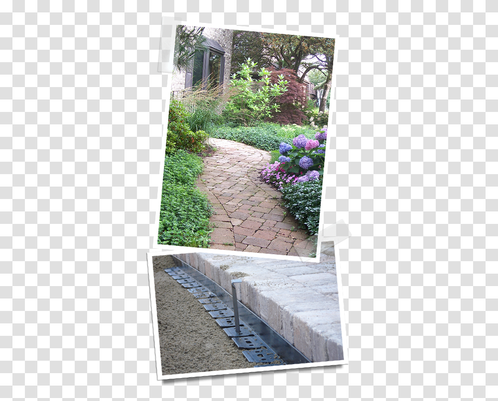 Walkway, Flagstone, Path, Outdoors, Plant Transparent Png