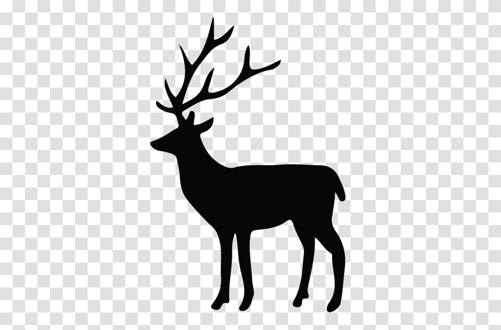 Wall Art Silhouette Deer, Wildlife, Mammal, Animal, Horse Transparent Png