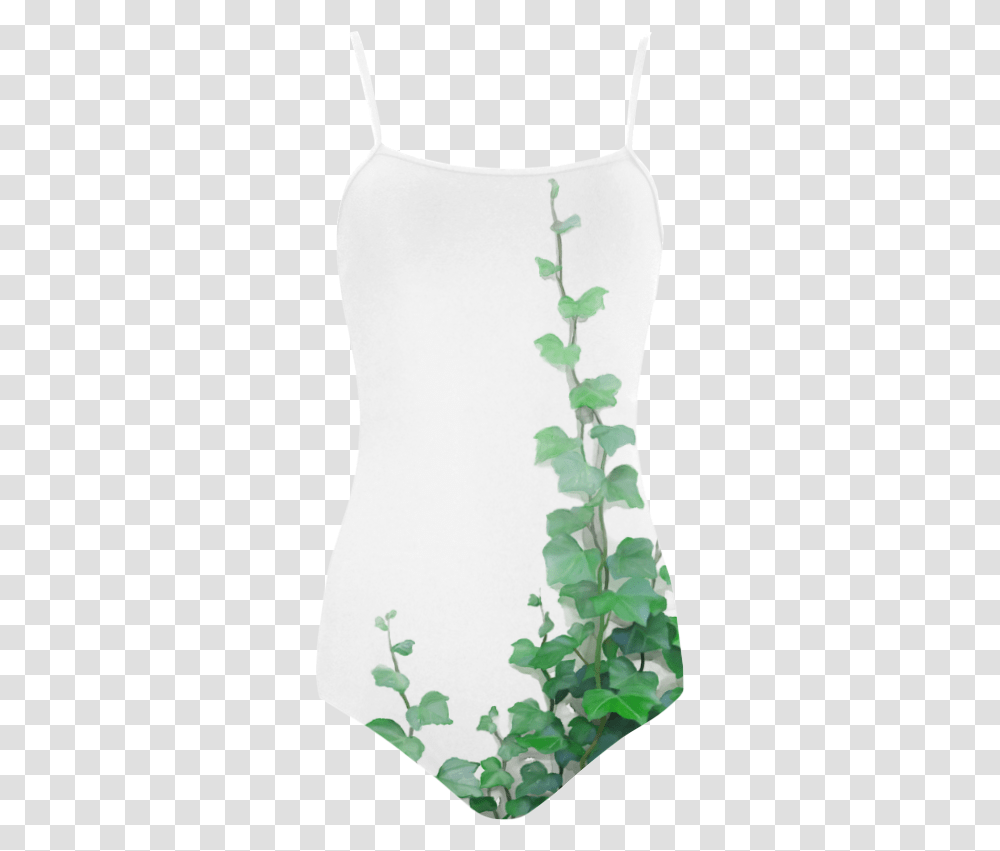 Wall Climbers Plants, Vine, Flower, Blossom, Ivy Transparent Png