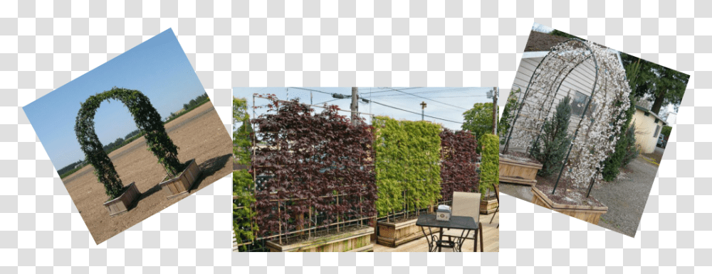Wall, Outdoors, Chair, Nature, Plant Transparent Png