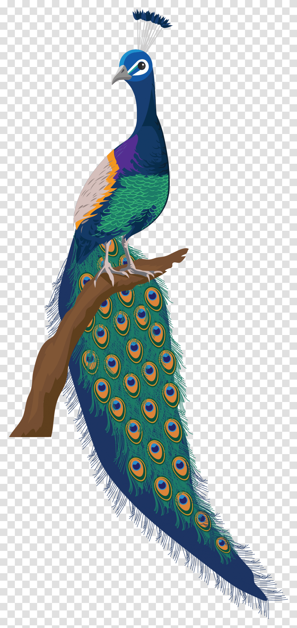 Wall Painting Switchboard Drawing Design, Bird, Animal, Macaw, Parrot Transparent Png