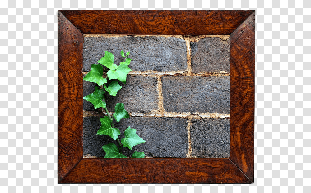 Wall, Plant, Brick, Ivy, Leaf Transparent Png