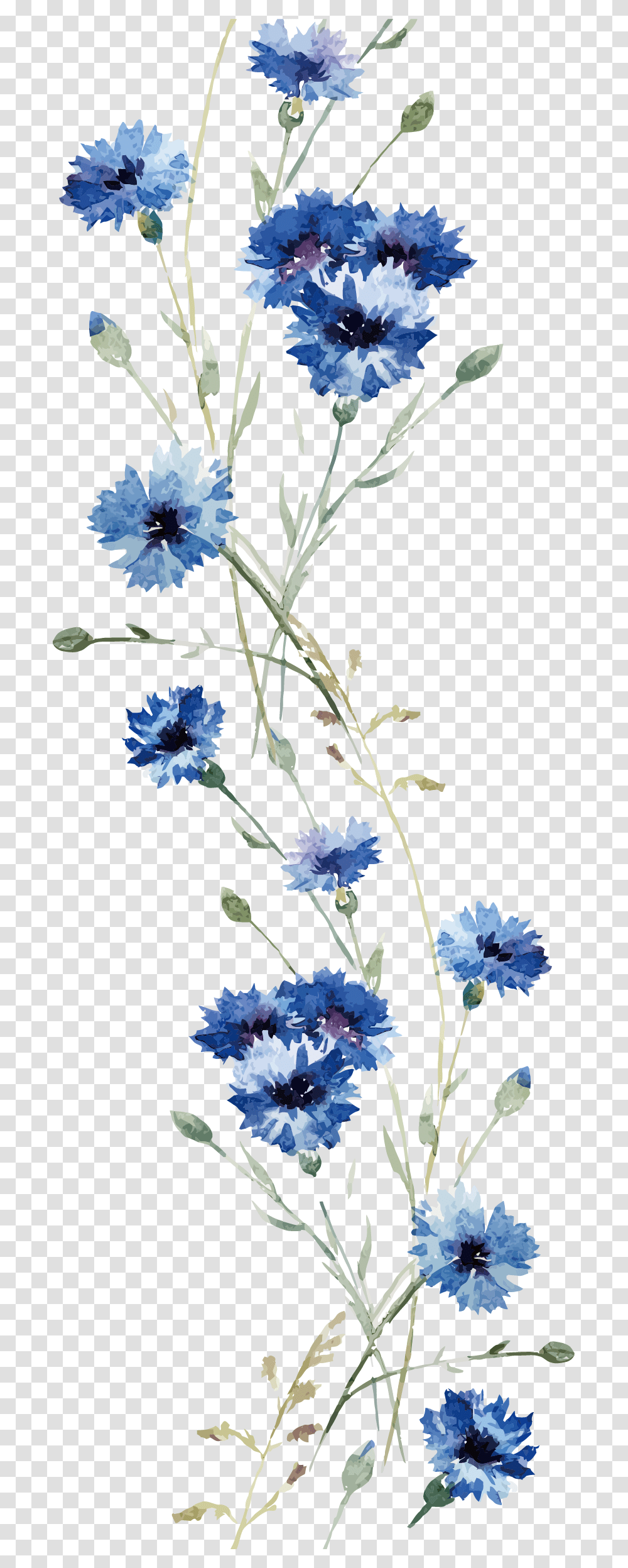Wall Stickers Flowers Painting, Plant, Ikebana, Vase Transparent Png