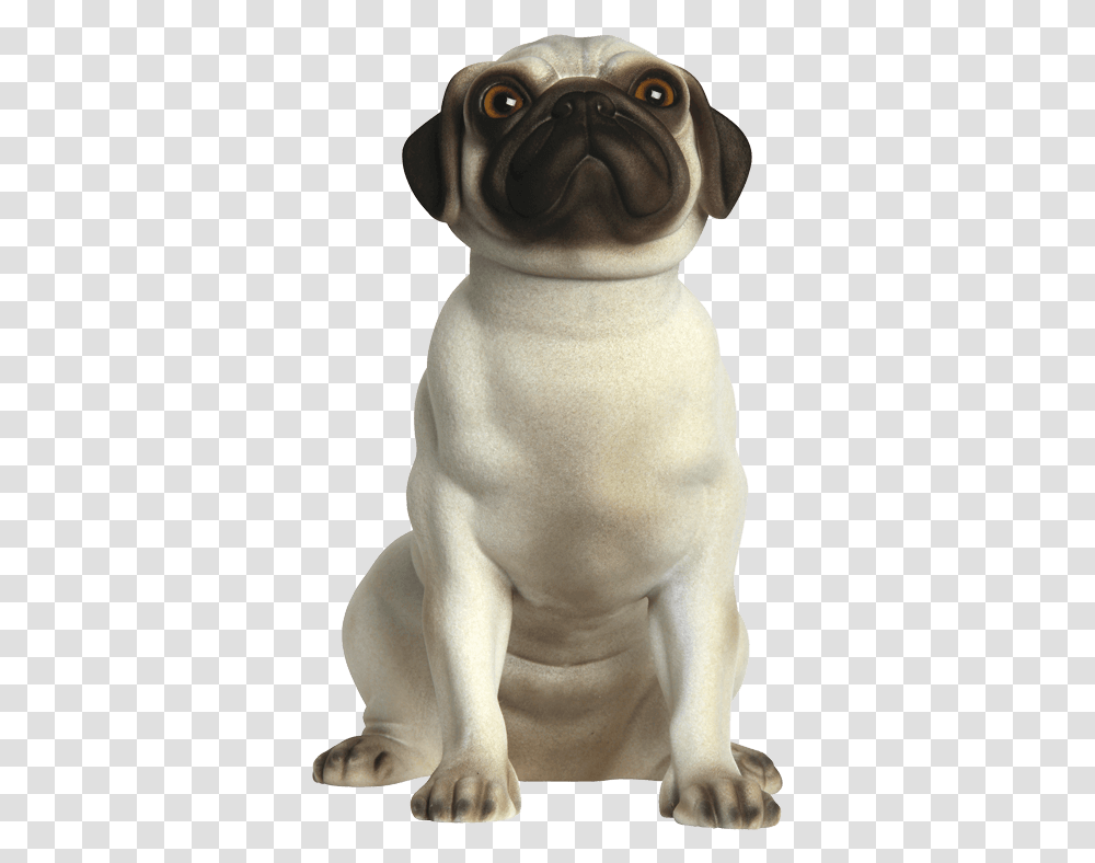 Wallacerealistic Front Pug, Figurine, Person, Human, Animal Transparent Png