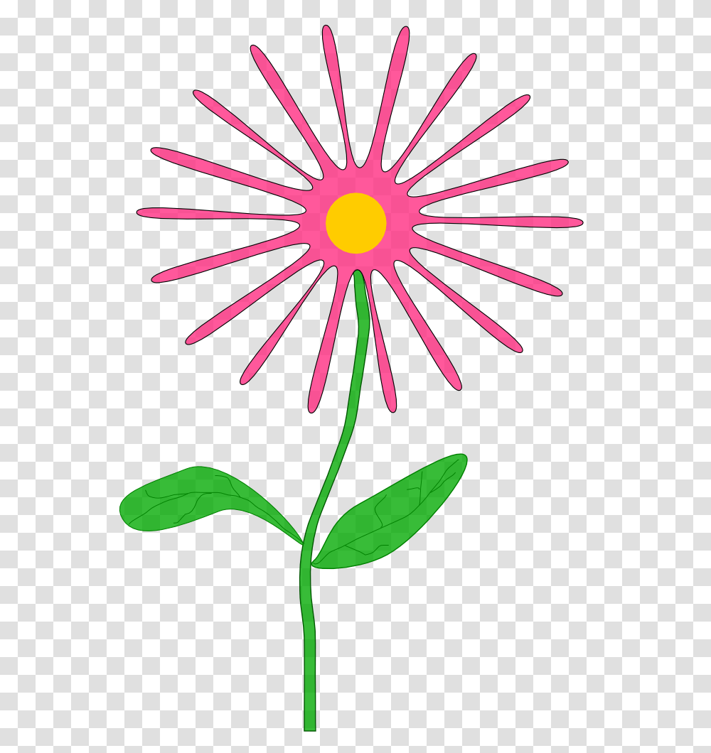 Wallet Clip Art, Plant, Flower, Blossom, Petal Transparent Png