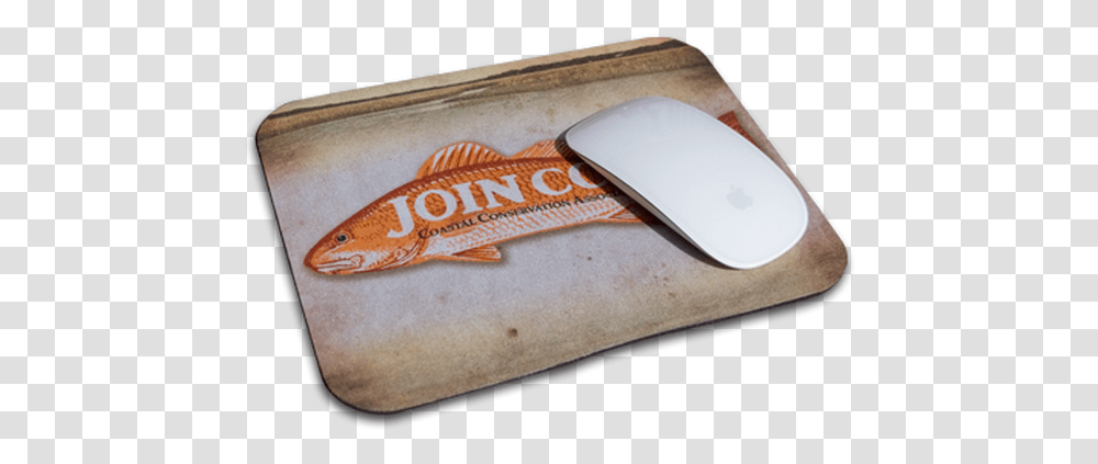 Wallet, Mouse, Hardware, Computer, Electronics Transparent Png