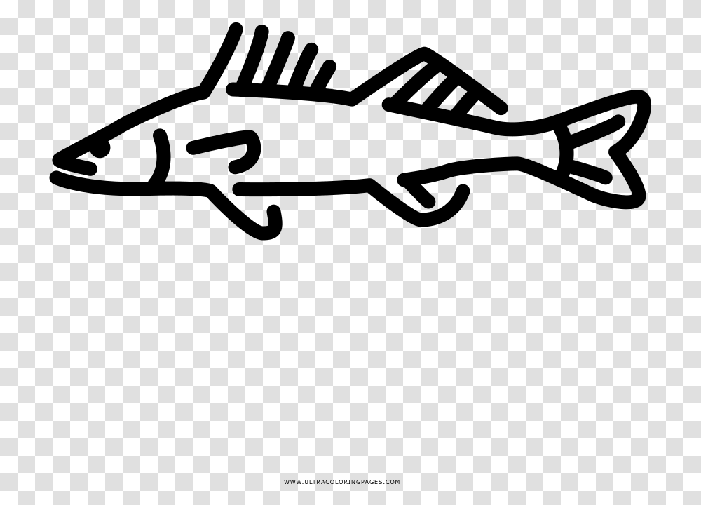 Walleye Coloring, Gray, World Of Warcraft Transparent Png