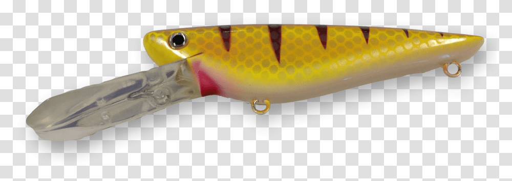 Walleye Download Trout, Fishing Lure, Bait, Animal Transparent Png