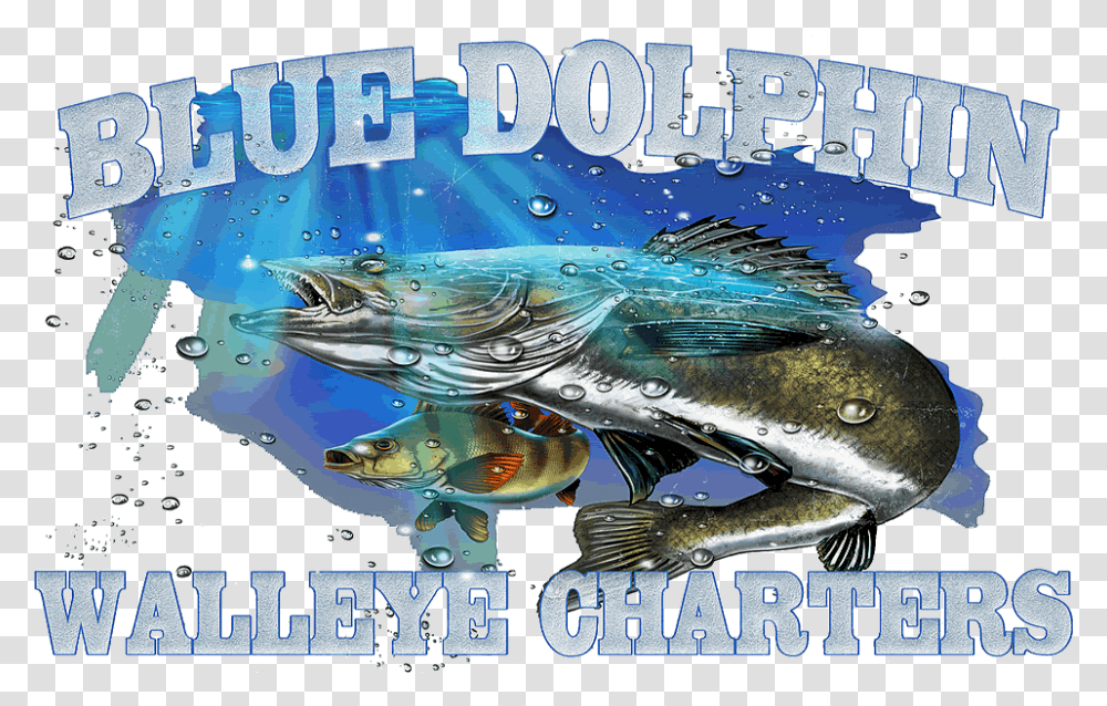 Walleye Poster, Tuna, Sea Life, Fish, Animal Transparent Png