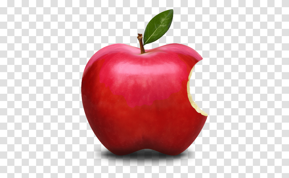 Wallpaper Apple Logo For Iphone Xs Realistic Apple Logo Fruit, Plant, Food, Vegetable Transparent Png