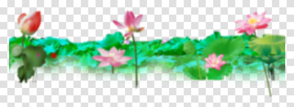 Wallpaper Banner Design Sacred Lotus, Plant, Flower, Blossom, Anther Transparent Png