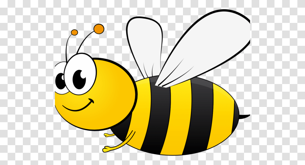 Wallpaper Clipart, Honey Bee, Insect, Invertebrate, Animal Transparent Png