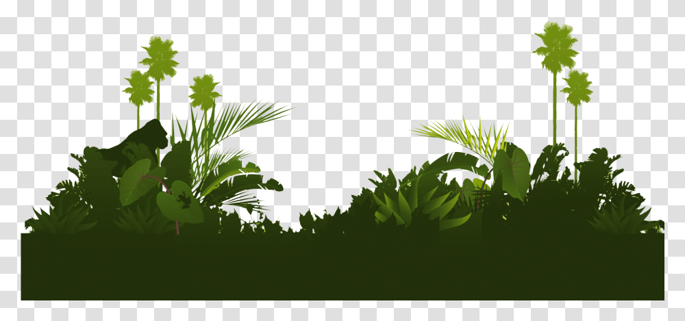 Wallpaper Image Jungle Tree, Green, Vegetation, Plant, Palm Tree Transparent Png