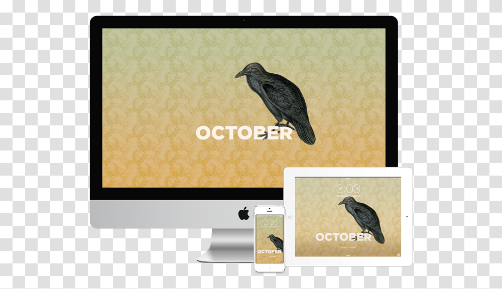 Wallpapers October Marabou Stork, Bird, Animal, Beak, Mobile Phone Transparent Png