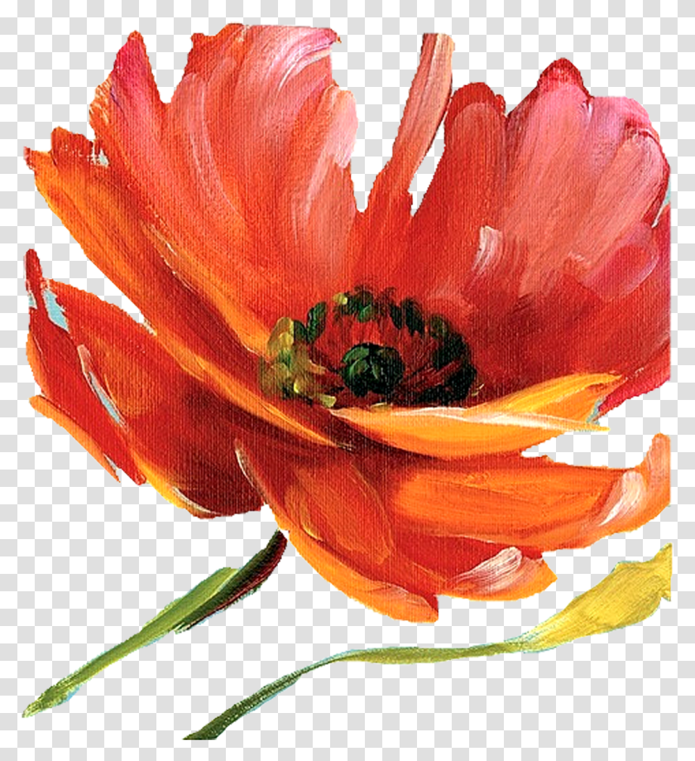 Wallpapers V57 Painted Flowers Backgrounds Mob Red And Orange Flowers Watercolor, Plant, Petal, Blossom, Pollen Transparent Png