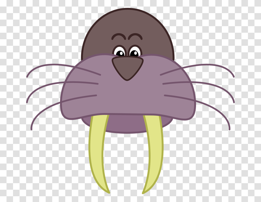 Wally, Education, Animal, Sea Life, Mammal Transparent Png