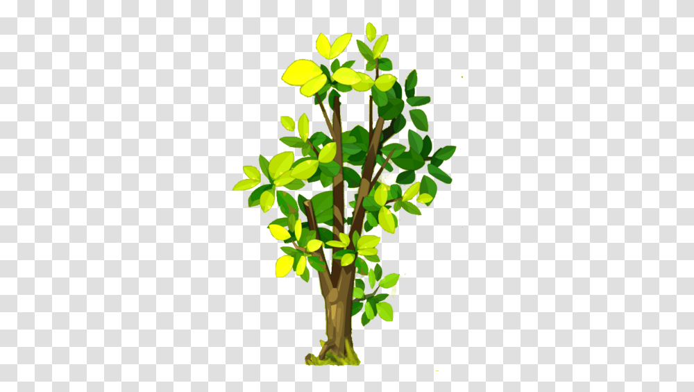 Walnut 129dofus Wiki Fandom Tree, Plant, Flower, Blossom, Leaf Transparent Png