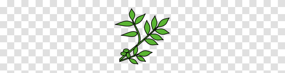 Walnut Branch Walnut Gt Twig, Green, Leaf, Plant, Flower Transparent Png