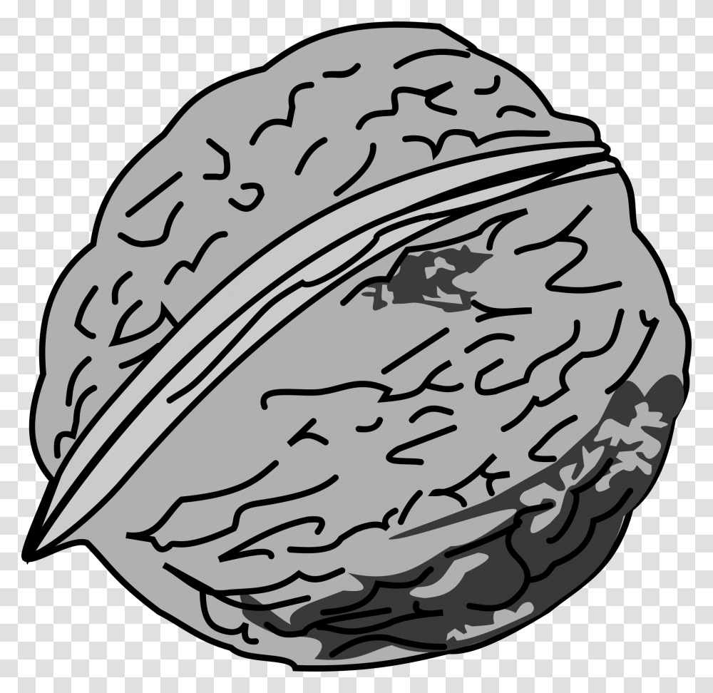 Walnut Clipart Black And White, Plant, Vegetable, Food, Fungus Transparent Png