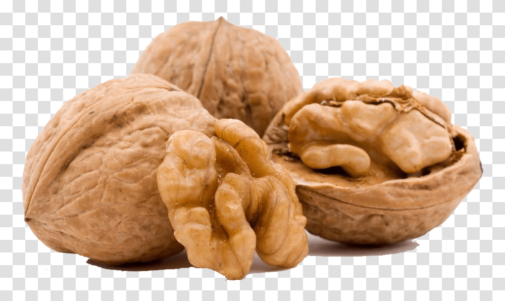 Walnut Free Picture Walnut Dry Fruit, Plant, Vegetable, Food, Fungus Transparent Png