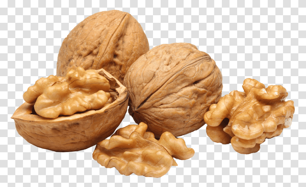 Walnut Group Walnuts, Plant, Vegetable, Food, Fungus Transparent Png