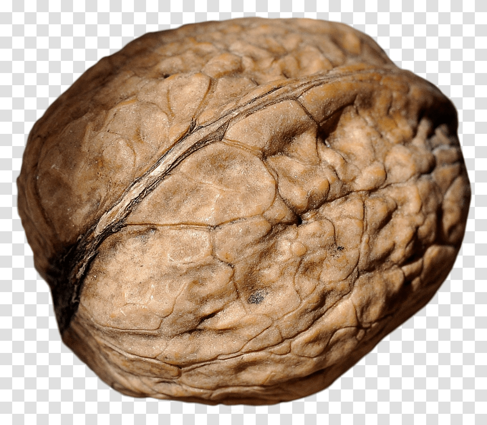 Walnut Macro Photography, Plant, Vegetable, Food, Bread Transparent Png