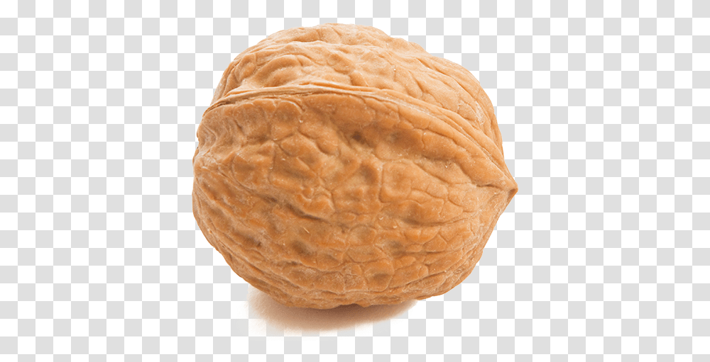 Walnut Nut, Plant, Vegetable, Food, Bread Transparent Png